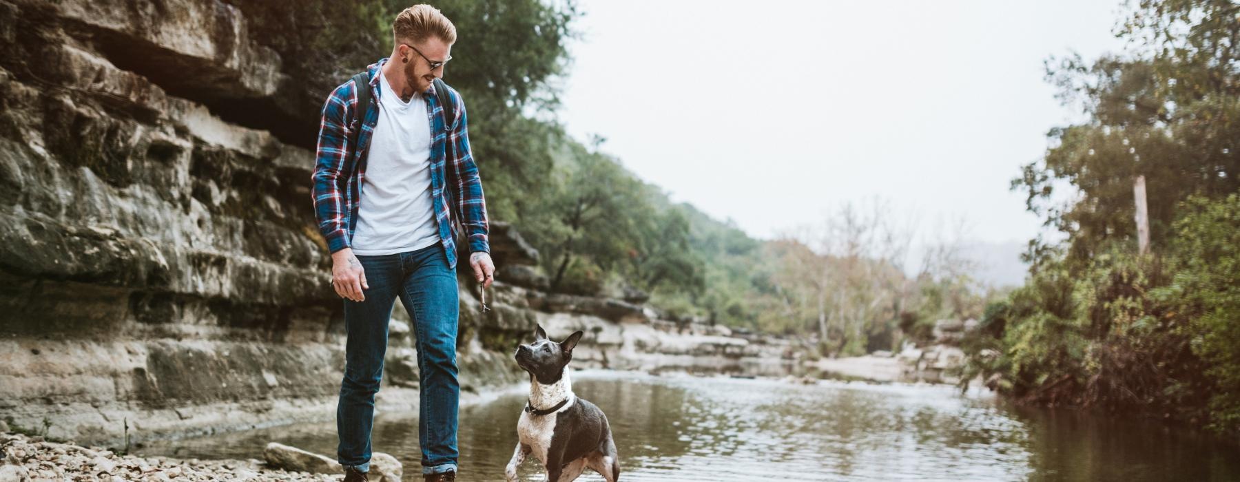 a man and a dog on a rocky beach