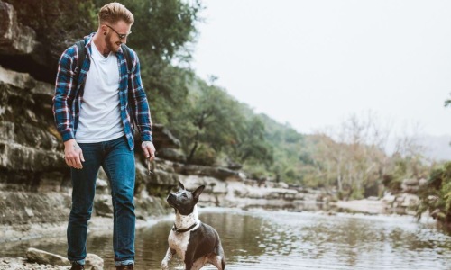 a man and a dog on a rocky beach